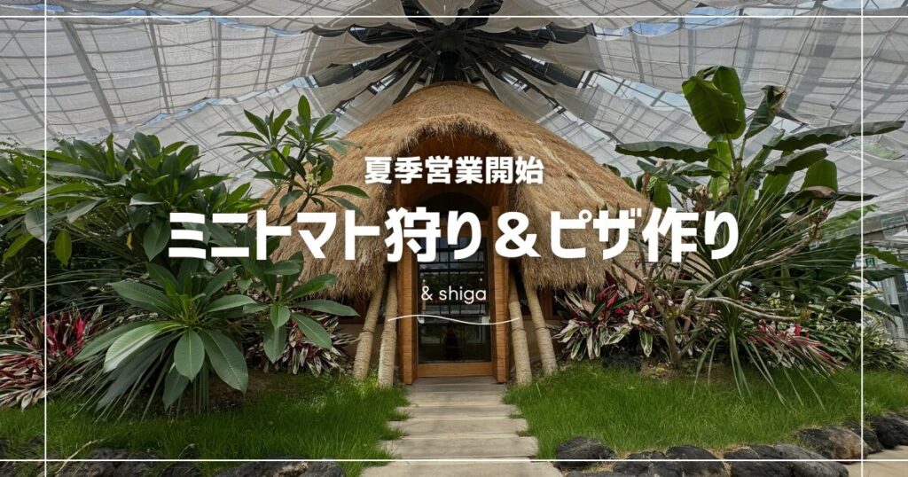 シンビオシスファームのトマト狩り
